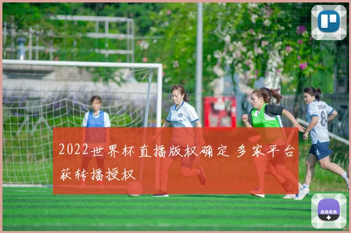 2022世界杯直播版权确定 多家平台获转播授权